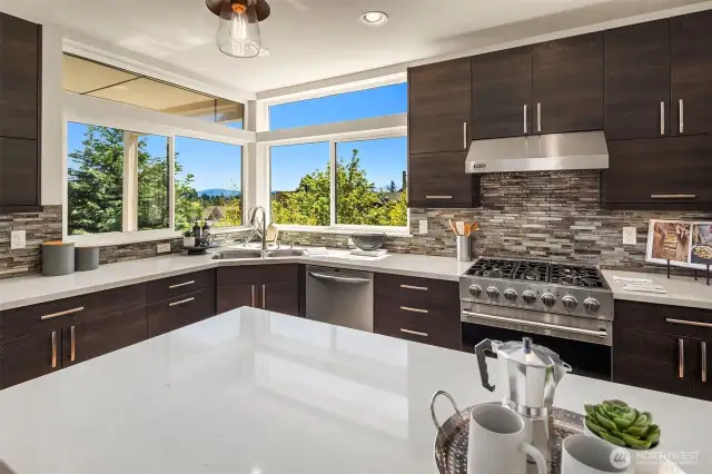 Gas range and views!