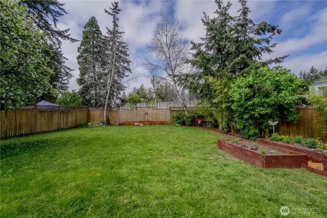 YARD VIEW