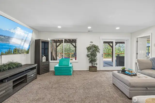 Basement Bonus room