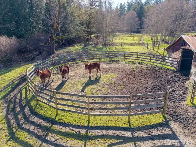Round Pen