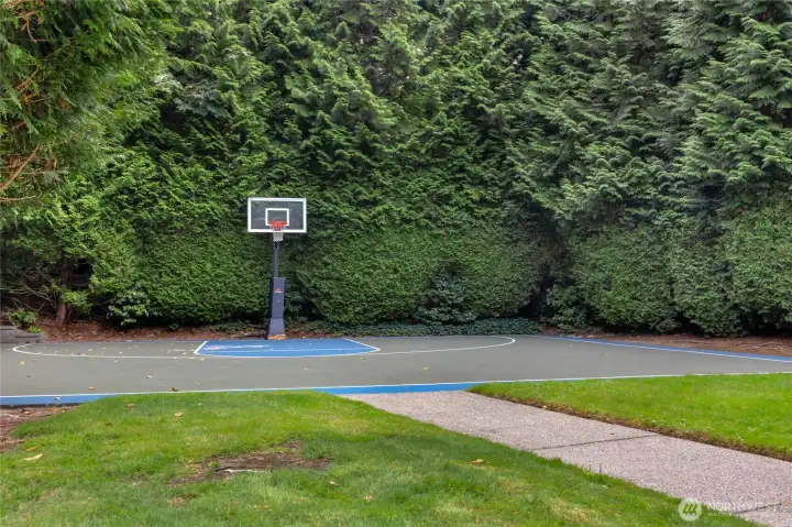 Basketball court