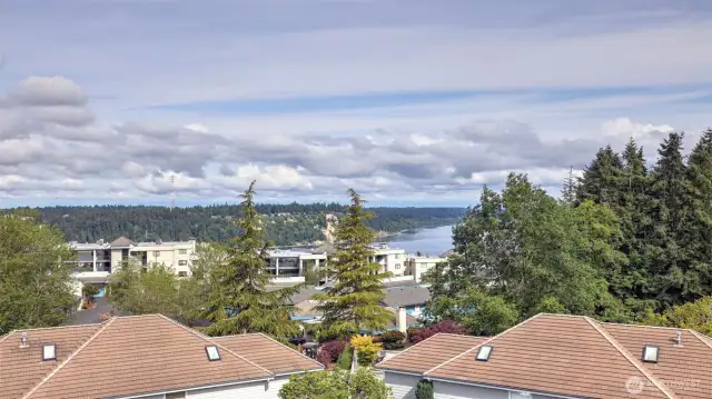 View from Balcony