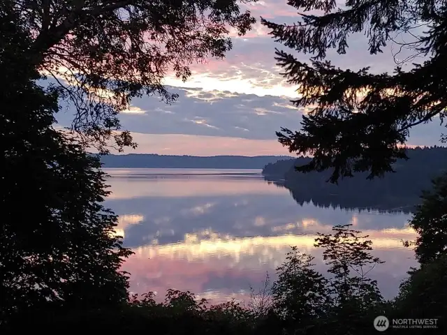 Looking out towards Mt. Rainier, McNeil Island, Carr Inlet.....aka the "stunning view"