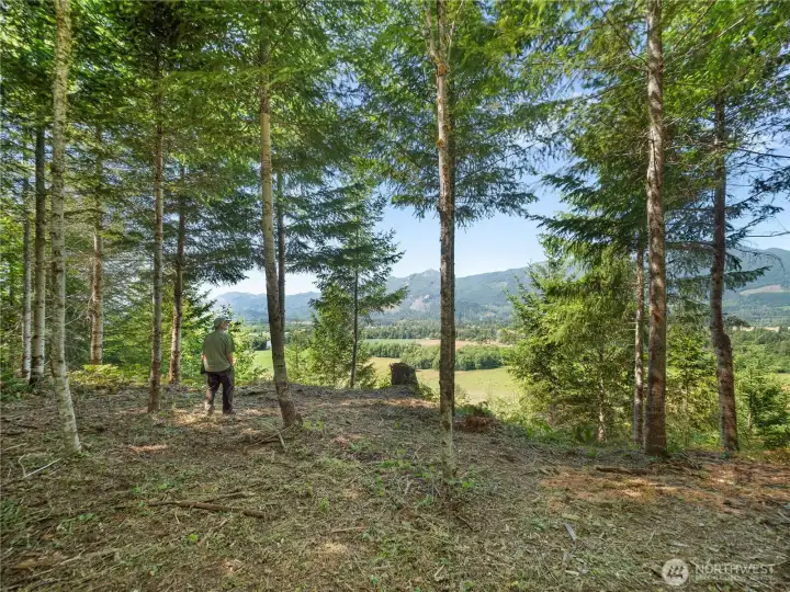 Cleared camp site. Photos are representative of the overall property and may not reflect the unique features of each individual lot.