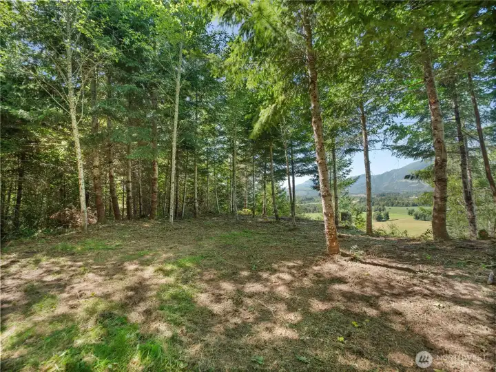 Camp site. Photos are representative of the overall property and may not reflect the unique features of each individual lot.