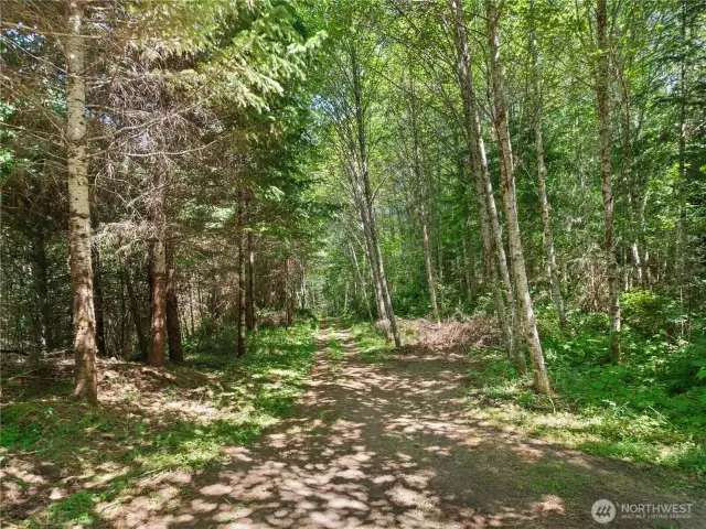 Photos are representative of the overall property and may not reflect the unique features of each individual lot.