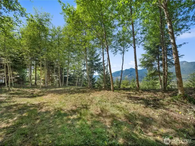 Camp site. Photos are representative of the overall property and may not reflect the unique features of each individual lot.