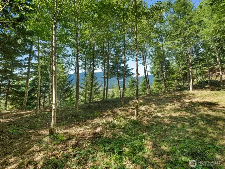 Camp site. Photos are representative of the overall property and may not reflect the unique features of each individual lot.
