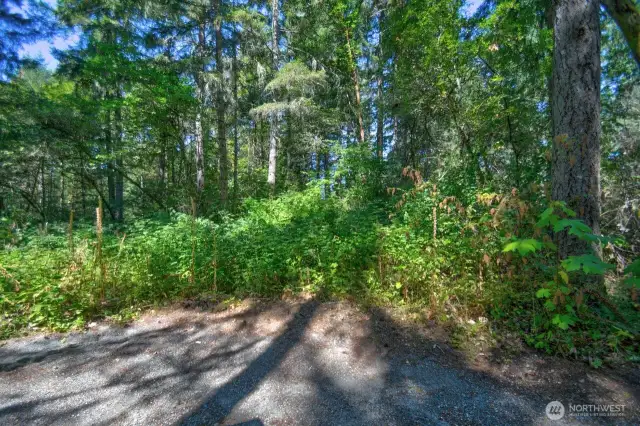 VIEW OF BACK OF THE PROPERTY