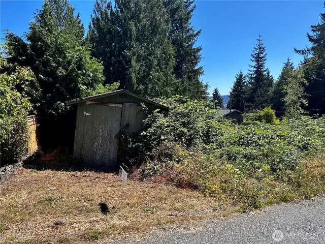 Top Lot