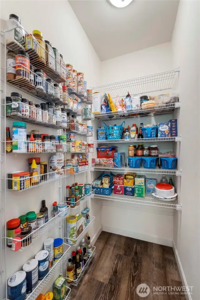 Pantry w/ room for all of your food/kitchen items.