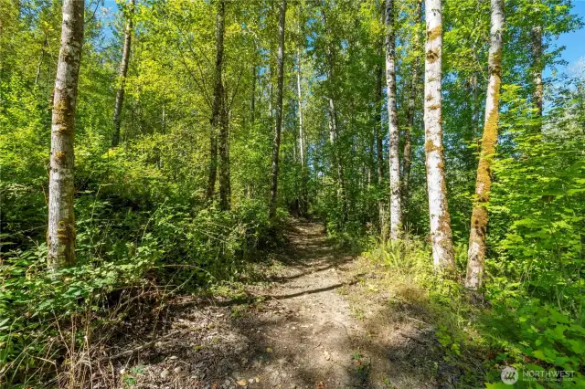 Trail is clear that leads to the pond