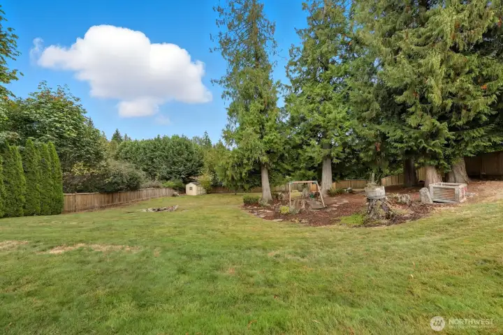 Sprawling backyard.