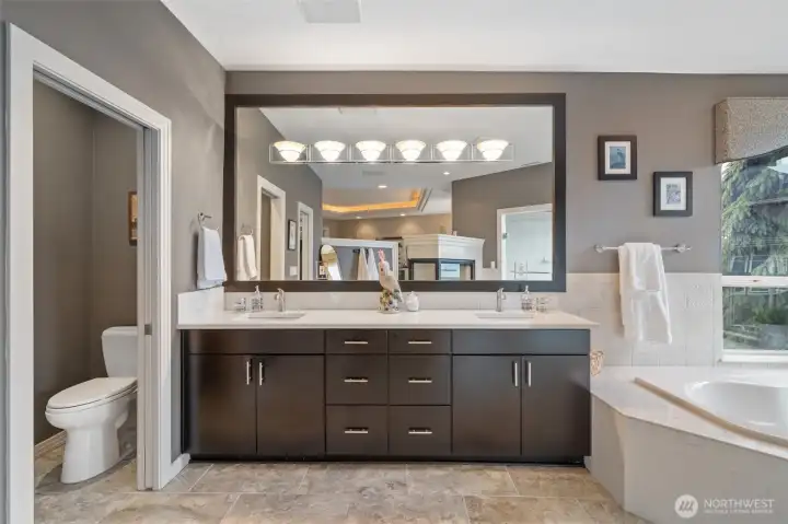 dual sinks