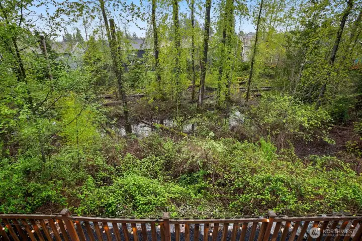 Peaceful greenbelt behind the home