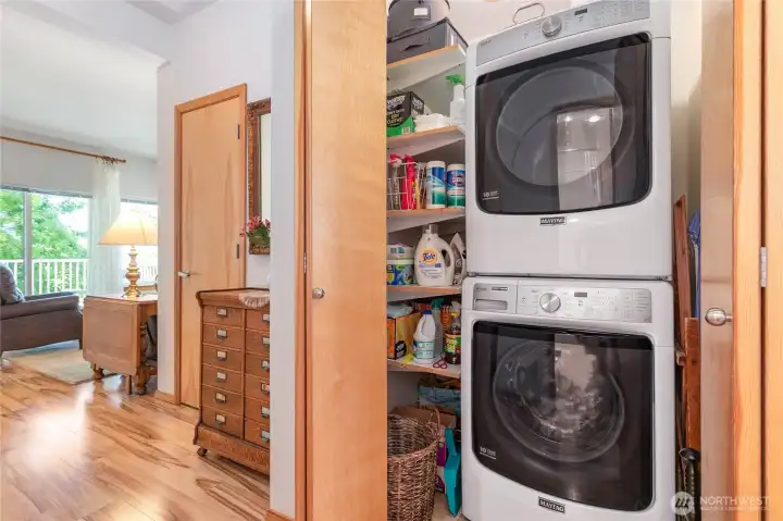 The home comes with the washer and dryer.