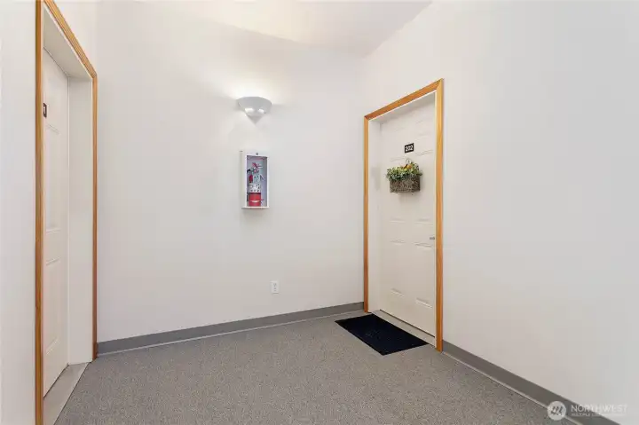 This is the foyer and the entrance to unit #202 is on the right.