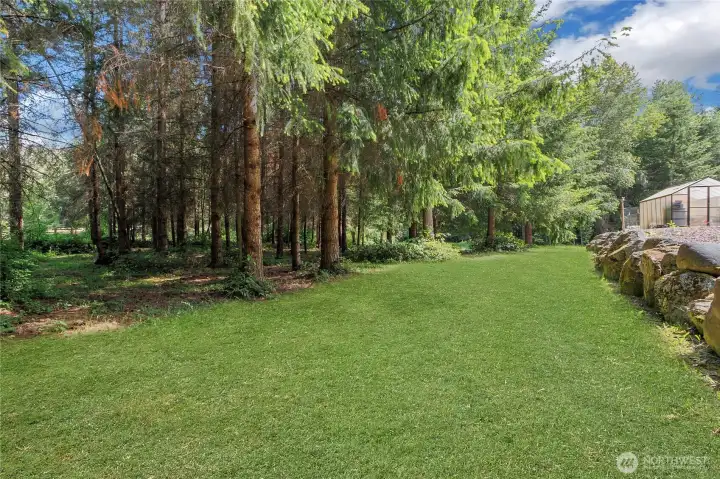 Wooded back yard