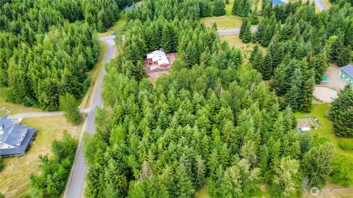 Home in the woods!
