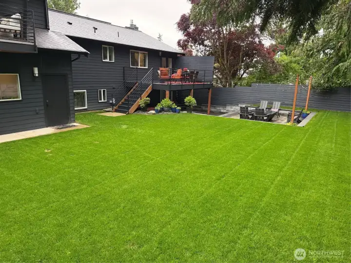 Back yard