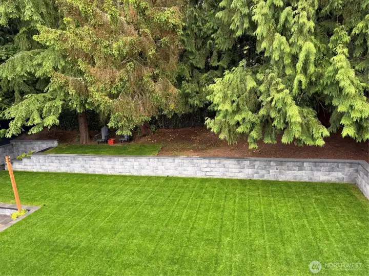 Back yard with retaining wall and wooded area