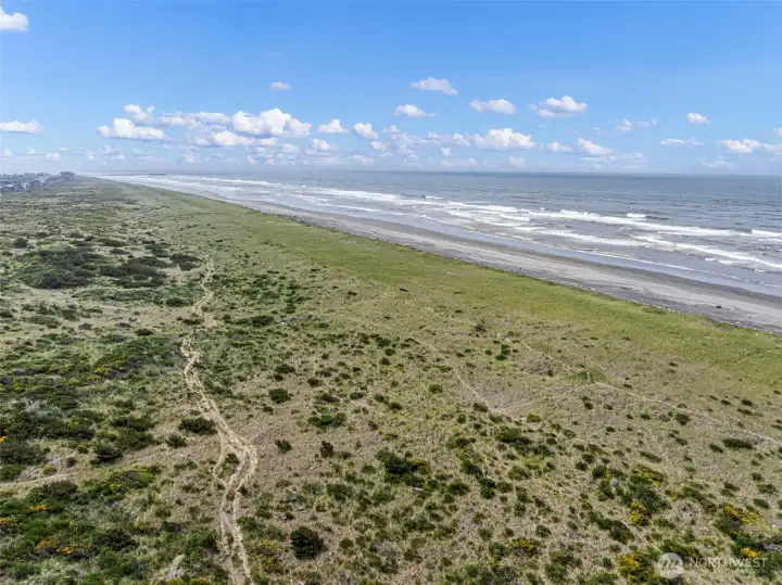 Beautiful Ocean Shores beach just minutes away.