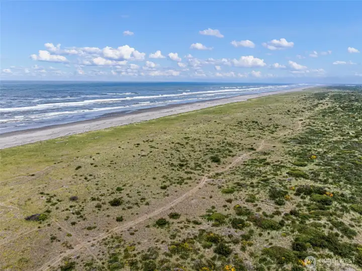 Beautiful Ocean Shores beach just minutes away.