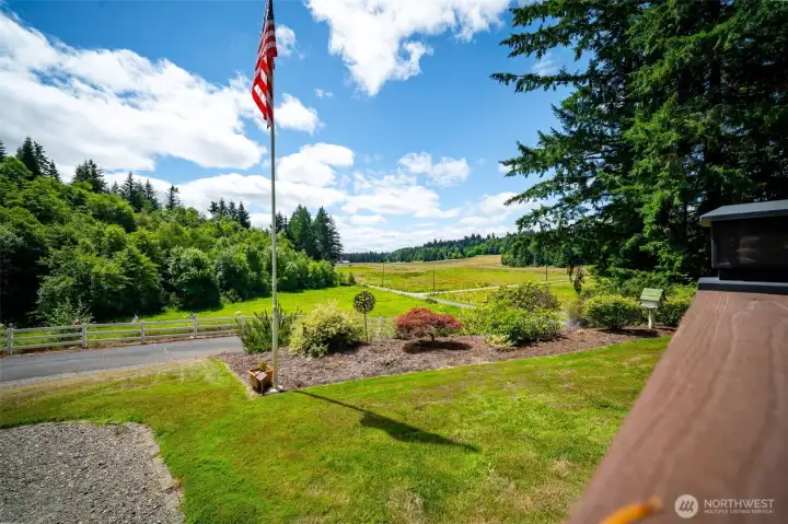 View from front porch