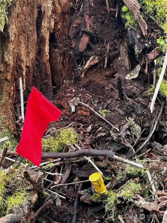 Surveyed, SE Corner staked, 10' behind Mary Lou Ln street sign on Jefferson Beach Rd. Property line runs parallel to Mary Lou. The line is NOT parallel to the neighbor's view corridor, that skews NE. Mary Lou runs due E.