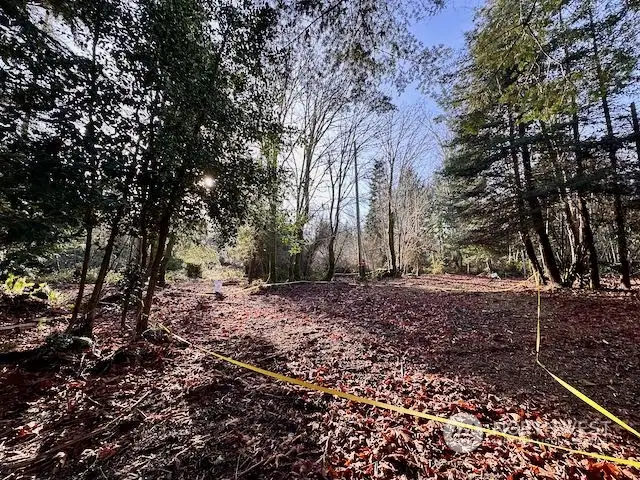 Site Option #2 in middle of lot. Cleared, flat, dry. No view corridor. Most opened canopy to the South. Good for gardening. Build site cleared already up to 150' deep and 80' wide.