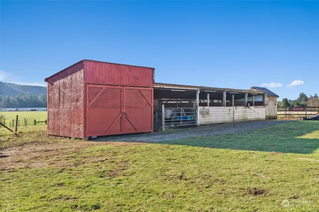 Barn area with 4 12x12 stalls, removable dividers for foaling stalls and large hay shed.