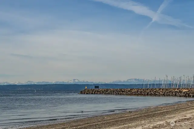 Olympic Mountains, shorebirds & sailboats