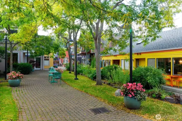 downtown Langley area