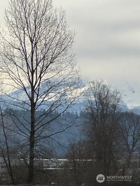 View of Mt Rainier