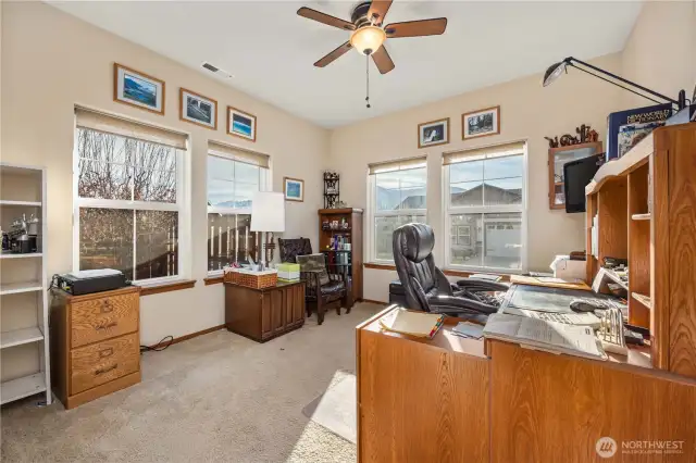 Guest Bedroom 1 with Mountain Views (Currently used as office)