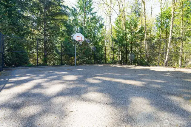 HOA Basketball Corut