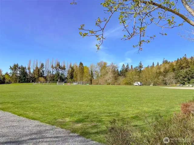 Soccer field
