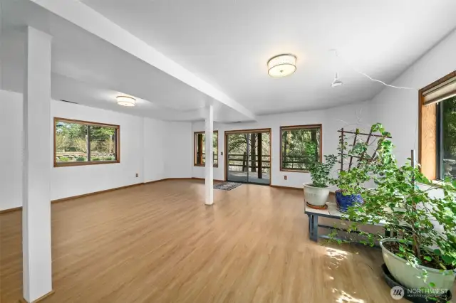 Lower level family room