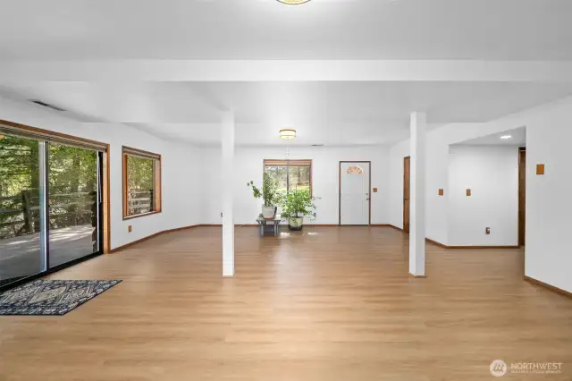 Lower level family room