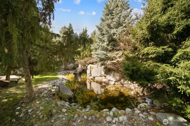 Zen garden koi pond