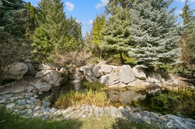 Zen garden koi pond and waterfall