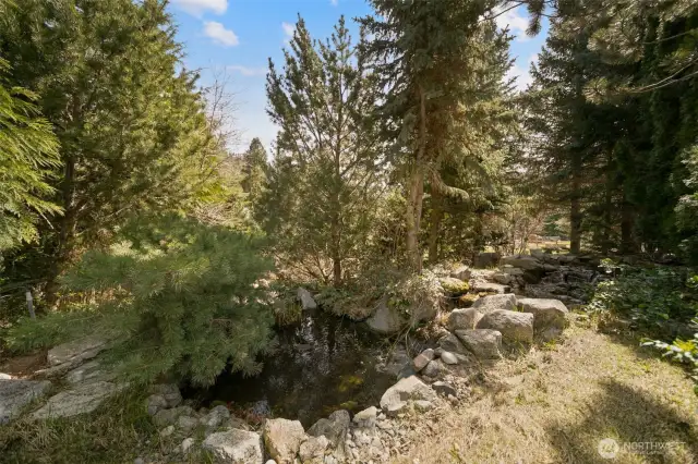 Brook above pond with smaller pond to waterfall