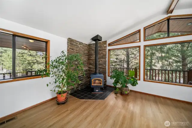 Wood burning stove