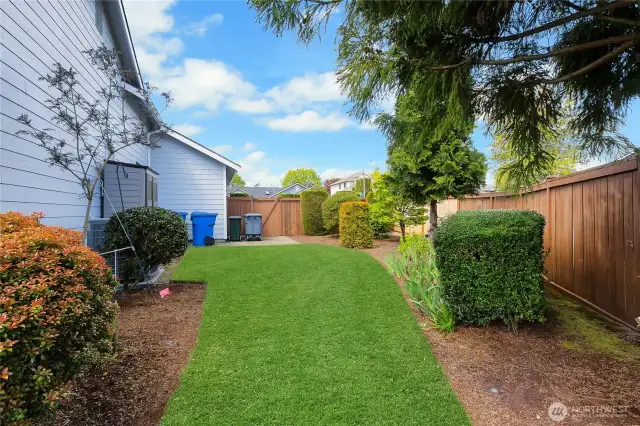 Side Yard