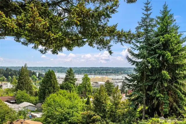 Abundant views of Cascade mountains, Sinclair inlet and city lights.