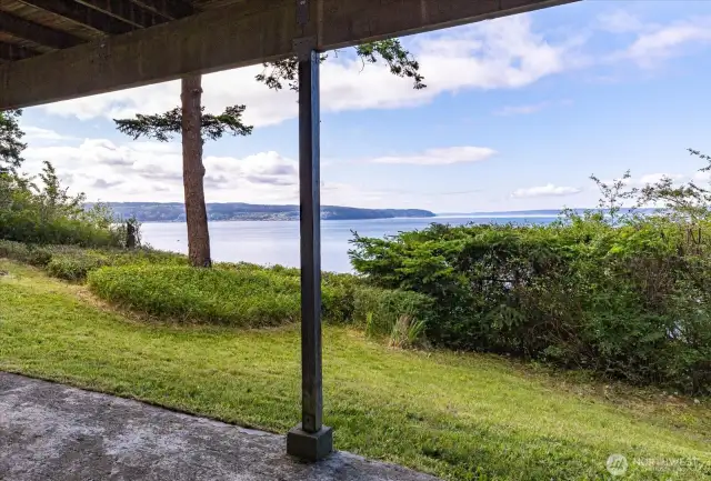 View from back patio