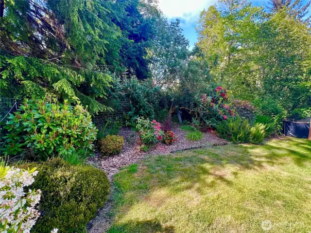 Lovely yard is fenced!