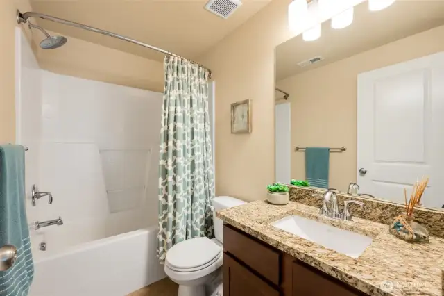 Lower Level Bathroom