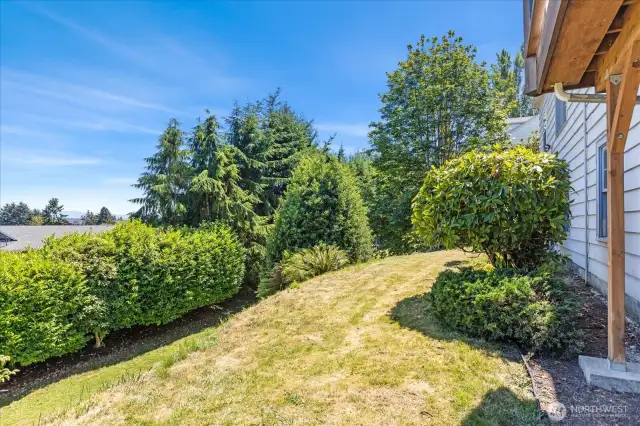 Large tiered backyard
