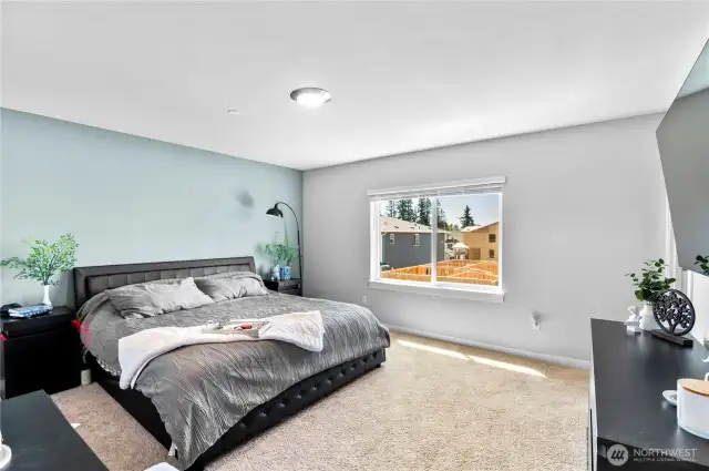 Primary Bedroom has plenty of room for a King Size Bed and dressers!